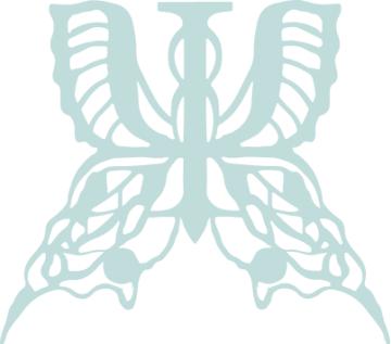 Serendipity Psychology