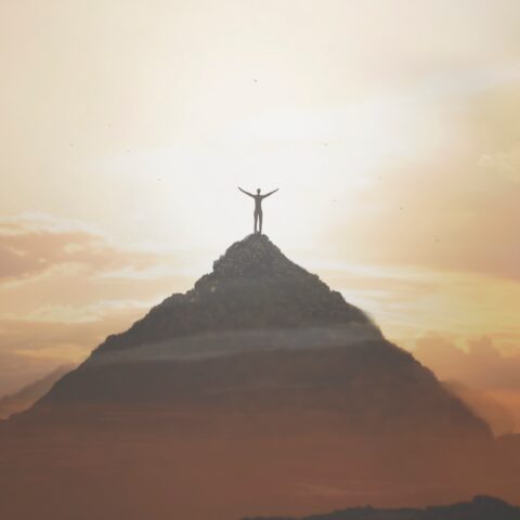 Fees & Payment Options