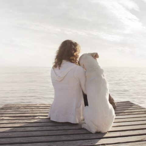 Emotionally Focused Therapy (EFT)