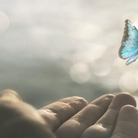 Find The Right Therapy